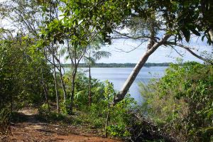 Amazonas live erleben